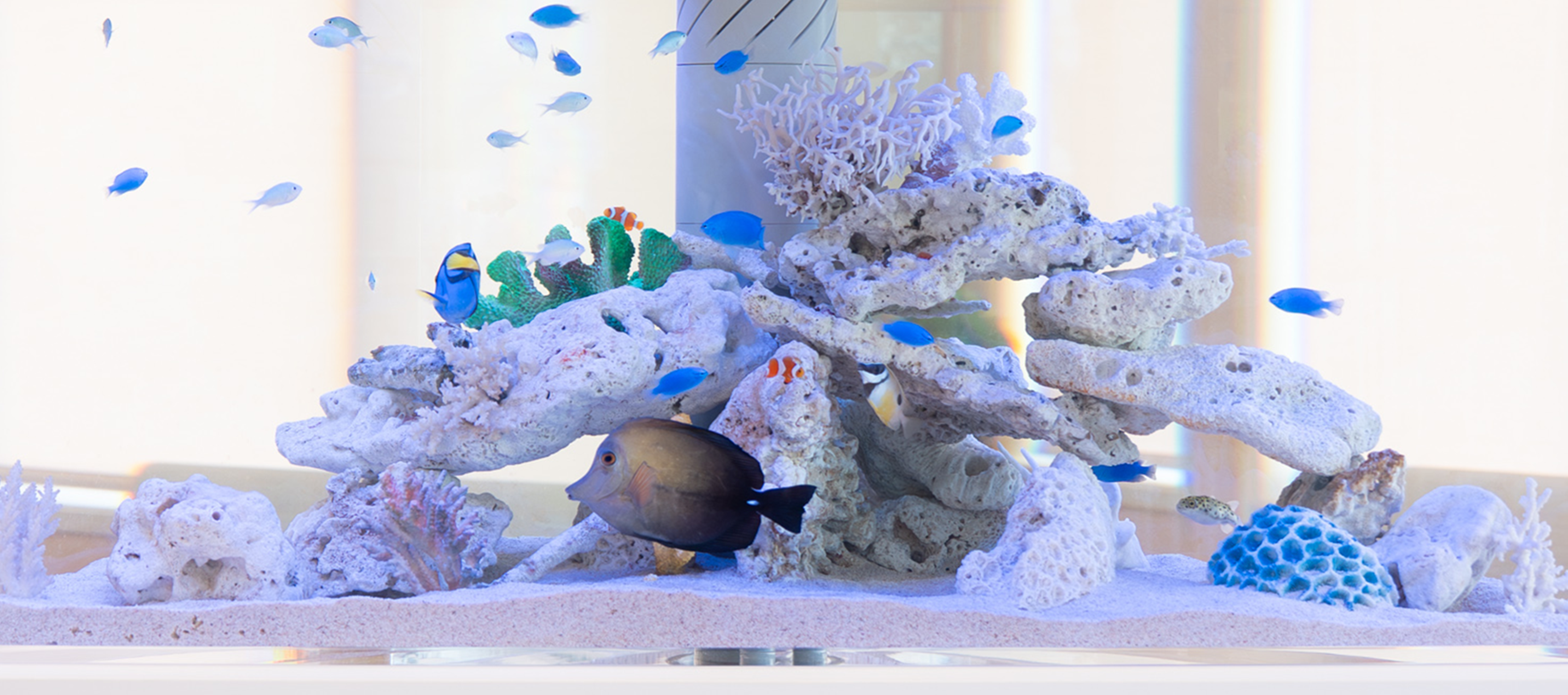 緑区の小児科・小児腎臓内科・アレルギー科・内科 医療法人 多代小児科03